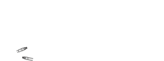 Akustik Strauss - Logo